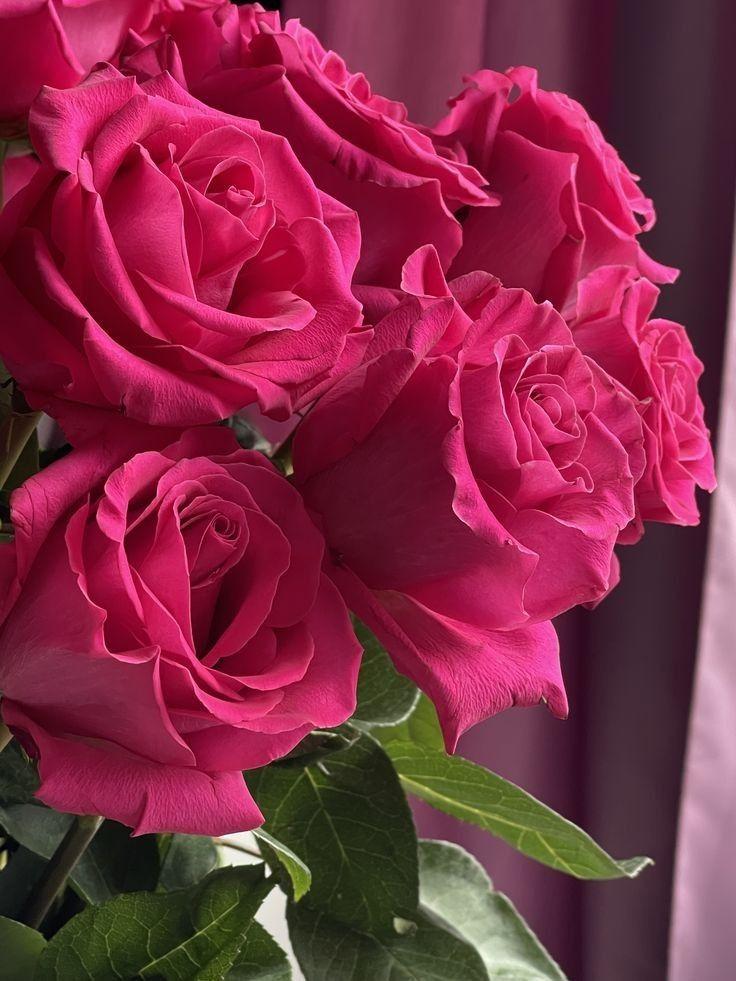 Lenss Park Island workshop space where corporate flower arrangements are designed and prepared for business delivery